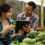 SEO para Empresas do Agronegócio Guia Completo para Ranquear no Google em 2026