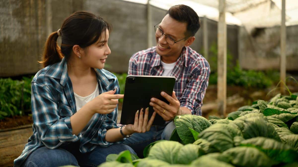 SEO para Empresas do Agronegócio: Guia Completo para Ranquear no Google em 2026